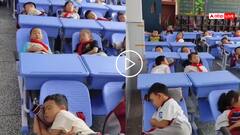 Video: चीन के स्कूलों में 'डेस्क नैप' का वीडियो वायरल, बच्चों का ब्रेन तेज करने का दावा, लोग बोले- जादू