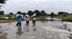 Parbhani Rain: परभणी  जिल्ह्यात पावसाचा हाहाकार, शेतकऱ्यांची सोयाबीन वाचवण्यासाठी धडपड!