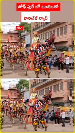 జోధ్ పుర్ లో ఒంటెలతో   హెరిటేజ్ ర్యాలీ