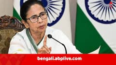 'আমরা যদি তখন চলেও আসতাম, আমাকে নিয়ে ব্যস্ত হত প্রশাসন, আমি সেটা চাই না', কার্নিভাল বিতর্কে জবাব মমতার