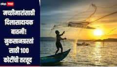 मच्छीमारांसाठी दिलासादायक बातमी! नुकसानग्रस्तांसाठी 100 कोटींची तरतूद, राणेंनी मानले मुख्यमंत्र्यांचे आभार 