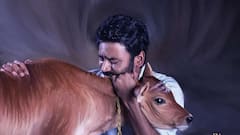 ఓటీటీలోకి ధనుష్ 'ఇడ్లీ కొట్టు' - నెల రోజుల్లోపే స్ట్రీమింగ్... ఇట్స్ అఫీషియల్