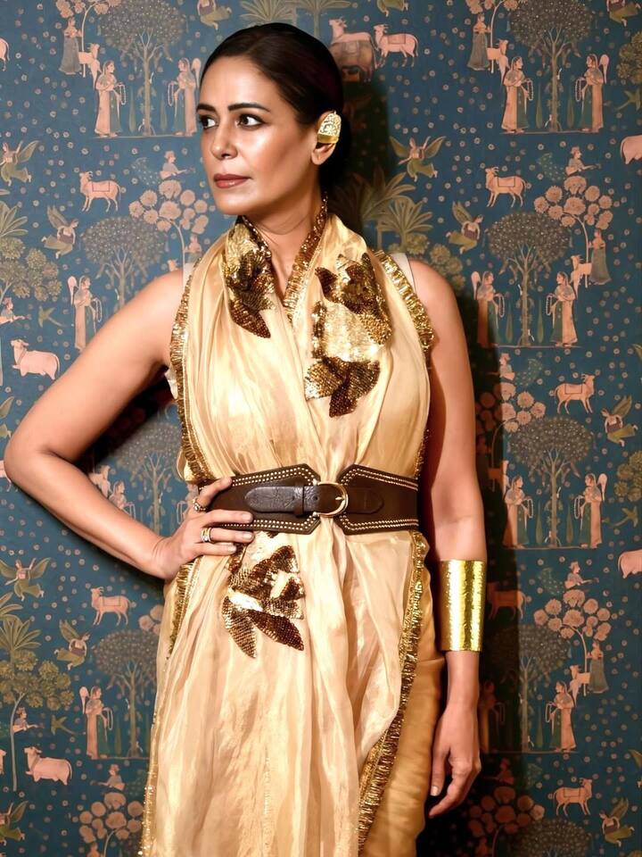 Apart from TV, Mona Singh has also made his special identity in Bollywood. She played the role of Kareena Kapoor's sister in Aamir Khan's film 3 Idiots.
