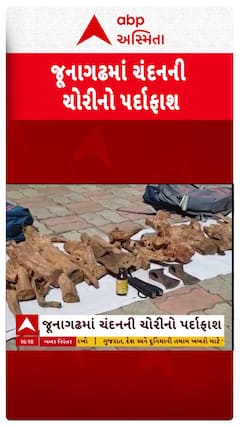 Junagadh News : જૂનાગઢમાં ચંદનની ચોરીનો પર્દાફાશ, પોલીસે એક આરોપીની કરી ધરપકડ