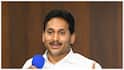 YS Jagan: ఏపీలో మెడికల్ కాలేజీలపై అక్టోబర్‌ పది నుంచి వైసీపీ పోరుబాట- తొలిసారి ఆందోళనలో పాల్గొనున్న జగన్!