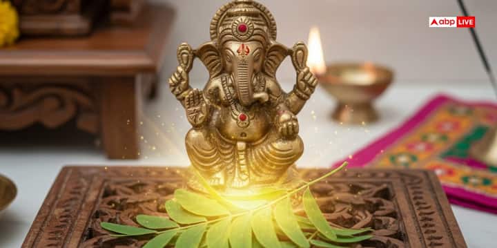 शमी वृक्ष भगवान गणेश को अत्यंत प्रिय है. बुधवार को गणेशजी की पूजा में शमी के पत्ते अर्पित करने से घर में धन, सुख और समृद्धि की वृद्धि होती है. यह उपाय पारिवारिक कलह को भी समाप्त करता है और शुभ ग्रहों का प्रभाव बढ़ाता है.