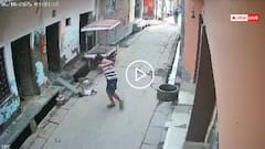 Video: बंदरों ने झपटा, पिता के सामने छत से नीचे गिरी 2 साल की मासूम, हाथरस का वीडियो वायरल