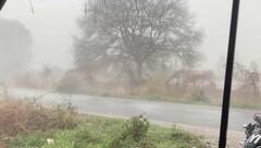 Gujarat Rain: શક્તિ વાવાઝોડું ડિપ્રેશનમાં, પણ વરસાદ પાવરફૂલ! 48 કલાકમાં આ વિસ્તારમાં ભારે વરસાદ તૂટી પડશે