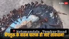 सड़कों पर बिछाते थे कीलें, बेंगलुरु में 'पंचर माफिया' का आतंक, वाहन चालकों को चेतावनी जारी