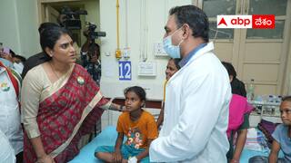 YS Sharmila: సోమాలియాలాగే ఏపీ - సర్కార్ పై షర్మిల సంచలన వ్యాఖ్యలు