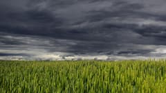 Weather Update: উত্তরবঙ্গে অতি ভারী বৃষ্টির সম্ভাবনা আর নেই, তবে দুর্যোগের মেঘ এখন সরেনি দক্ষিণবঙ্গ থেকে ! আজ কেমন থাকবে আবহাওয়া ?