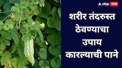 तुमच्या आहारात या कडू भाजीच्या पानांचा समावेश करा, लिवर राहील निरोगी!