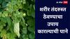 तुमच्या आहारात या कडू भाजीच्या पानांचा समावेश करा, लिवर राहील निरोगी!