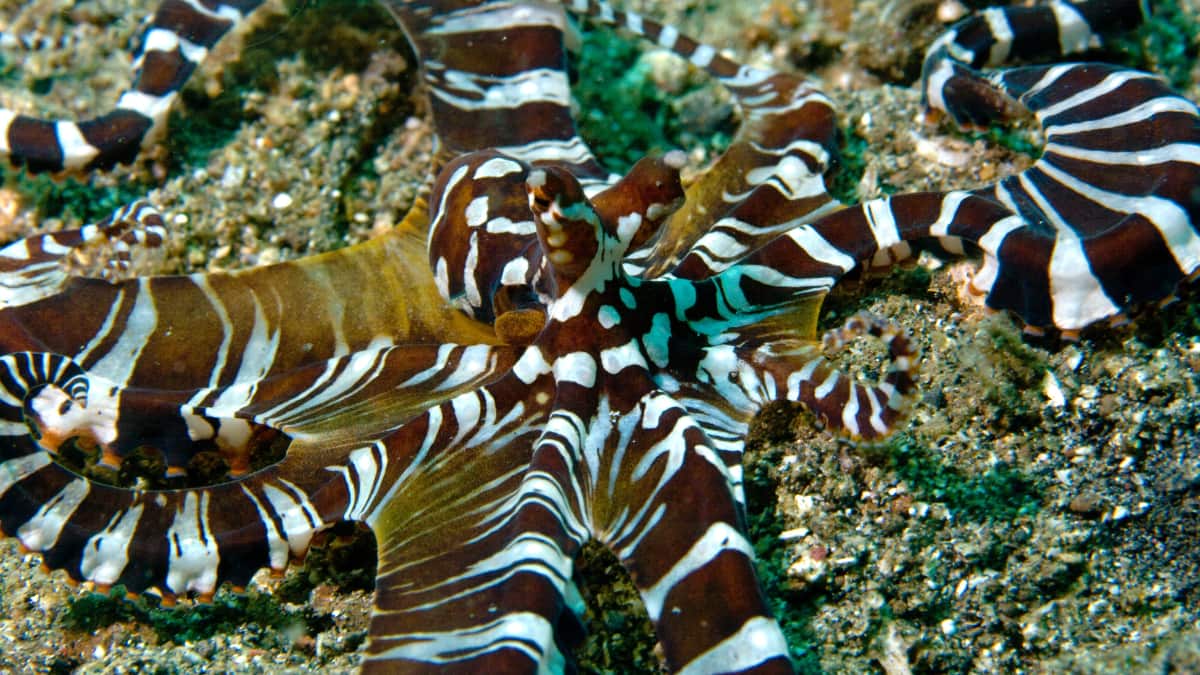 (Image Source: Twitter/@JeremyBRoberts)