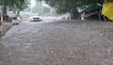 Gujarat Rain: વેસ્ટર્ન ડિસ્ટર્બન્સને કારણે આ તારીખ સુધી રહેશે વરસાદી માહોલ, જાણો લેટેસ્ટ અપડેટ 