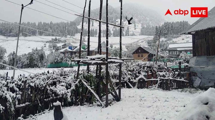हेमकुंड में सुबह से शाम तक बर्फबारी का दौर: हेमकुंड में लगातार बर्फ गिरती रही. रास्ते में आधा फीट से ज्यादा बर्फ जम जाने से यात्रा मुश्किल हो गई.