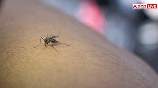 Dengue Fever Symptoms: दिल्ली-एनसीआर में डेंगू का कहर, एक की मौत, जानें इसके लक्षण और बचाव के उपाय