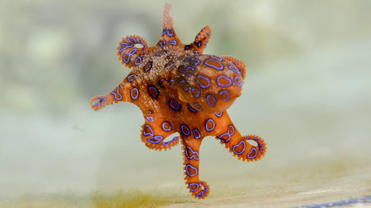 (Image Source: Canva)