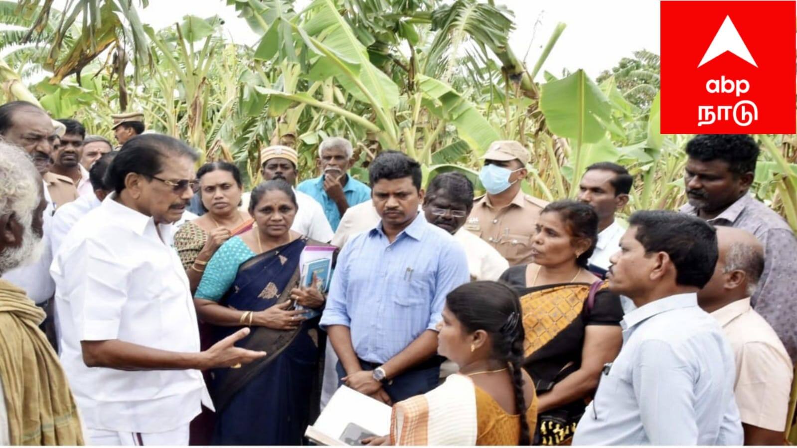 விருதுநகர்: வாழை மரங்கள் காற்றில் சரிந்த சோகம்.. அமைச்சர் ஆய்வு, நிவாரணம் கிடைக்க ஏற்பாடு