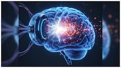 మెదడులోని జ్ఞాపకాలను ఎడిట్ చేసి తొలగించే టెక్నాలజీ వచ్చేస్తోంది!