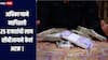 GST नोंदणी मिळवून देण्यासाठी अधिकाऱ्याने मागितली 25 हजारांची लाच, सीबीआयने लाच घेतानाच केलं अटक 