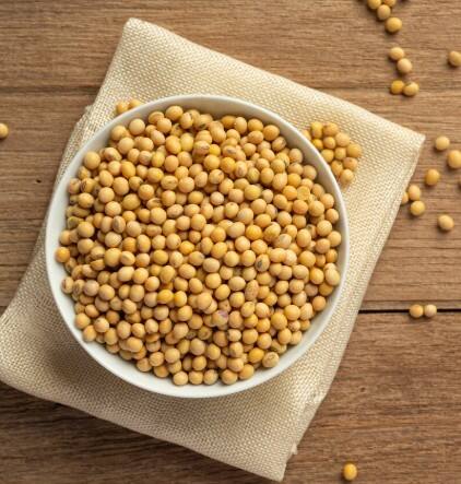 ਸੋਇਆਬੀਨ ਦੇ ਸੇਵਨ ਨਾਲ ਮਿਲਦੇ ਆਹ ਵਾਲੇ ਫਾਇਦੇ, ਬੋਨ ਹੈਲਥ ਨੂੰ ਮਜ਼ਬੂਤ ਸਣੇ ਦਿਲ ਦੀ ਸਿਹਤ 'ਚ ਹੁੰਦਾ ਸੁਧਾਰ