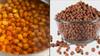 Soaked Chana: પ્રોટીનથી ભરપૂર હોય છે પલાળેલા ચણા, શું તેને ખાવાથી વજન વધે છે?