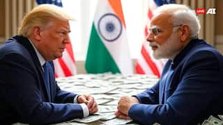 Trump Tariffs: भारत की किन-किन चीजों पर टैरिफ लगा चुके ट्रंप? एक नजर में देख लें पूरी लिस्ट