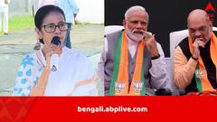 ‘অমিত শাহকে বিশ্বাস করবেন না, উনি বড় মীরজাফর হয়ে যাবেন একদিন’, মোদিকে বার্তা মমতার