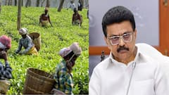 Caste Certificate: சாதிச் சான்றிதழுக்காக அவஸ்தைப்படும் தமிழர்கள்.. கேரளாவில் அநீதி - முடிவுக்கு கொண்டுவருவாரா முதல்வர்?