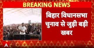 Tejashwi Yadav To Contest Bihar Polls From Two Seats: Raghavpur And Phulparas