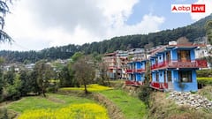 Mini Israel: भारत का यह गांव मिनी इजरायल के नाम से मशहूर, भारतीयों से ज्यादा यहां रहते हैं विदेशी
