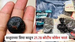 बाप रे... चक्क खजुराच्या बिया काढून 21.78 कोटींचं कोकेन भरलं; मुंबई विमानतळावर तस्करी उघड, आरोपीला बेड्या