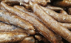 ये हैं दुनिया के 10 सबसे खतरनाक फूड्स, गलती से भी खा लिए तो मौत आनी तय