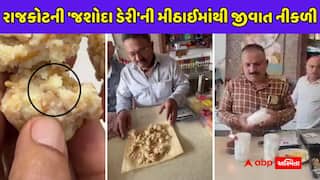 તહેવારોમાં મીઠાઈ ખાતા પહેલા ચેતજો! રાજકોટની 'જશોદા ડેરી' ની મીઠાઈમાંથી જીવાત નકળી, દુકાનદારે બચાવમાં કહી આ વાત