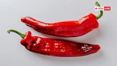 Hottest Chilli In The World: दुनिया की सबसे तीखी मिर्च, एक बाइट खाते ही शरीर हो जाएगा पसीना-पसीना