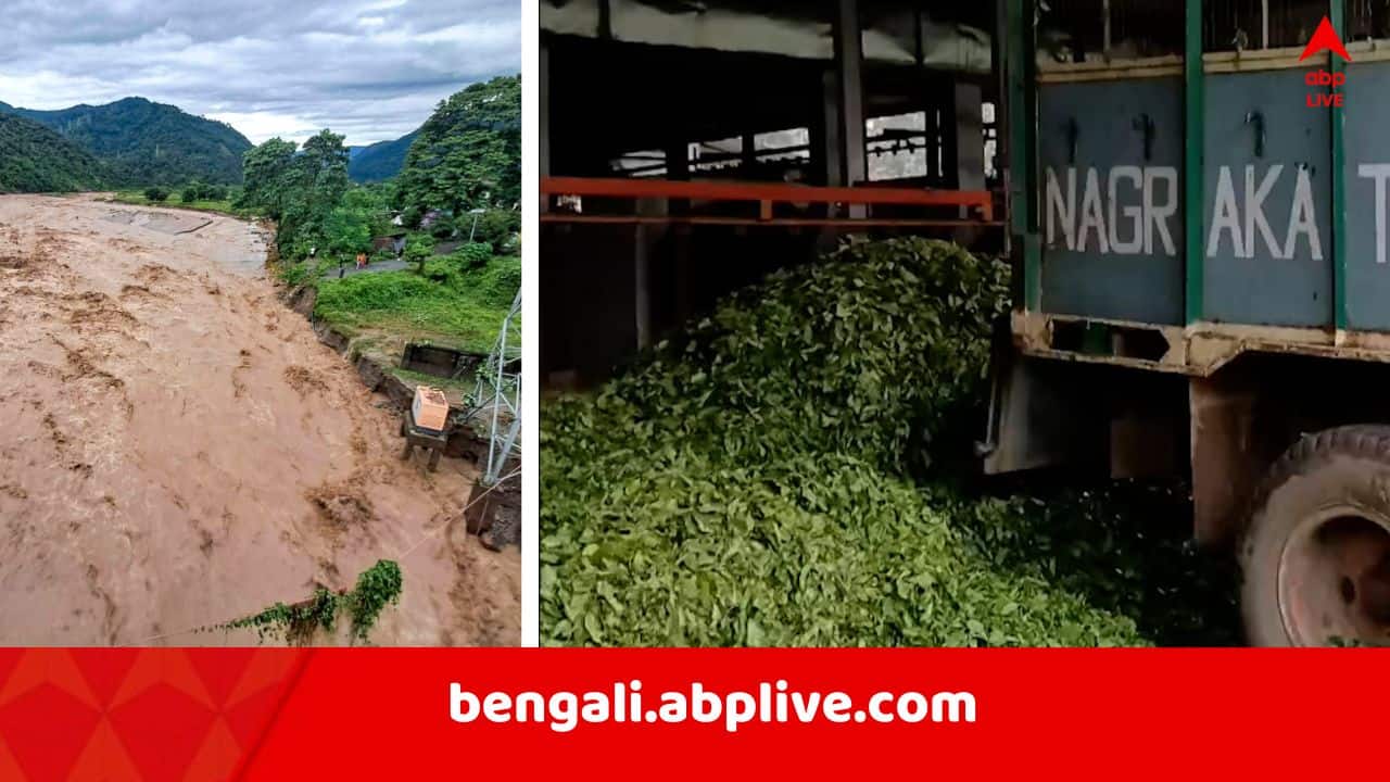 North Bengal Disaster: প্রবল বর্ষণে তছনছ ডুয়ার্সের প্রায় ৪০টি চা বাগান, ক্ষতি প্রায় ১০০ কোটি টাকা ! জলপাইগুড়ির আরও এক চা বাগানের ছবি প্রকাশ্যে