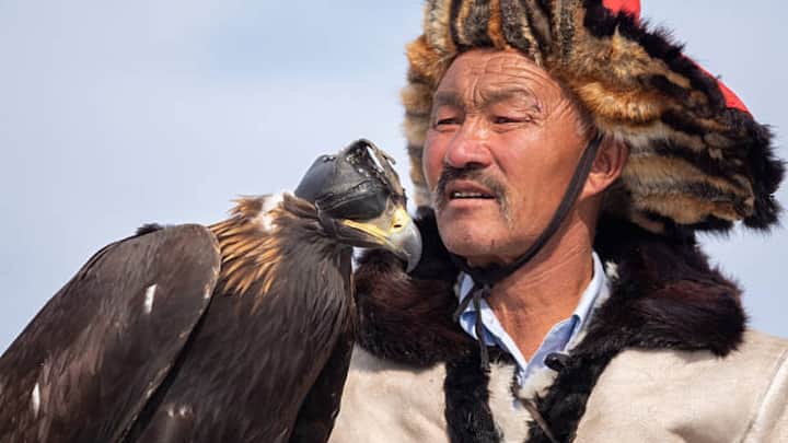 सऊदी अरब, कतर और संयुक्त अरब अमीरात जैसे देशों में प्रशिक्षित बाज अमीरी और साहस का प्रतीक हैं. इनसे खरगोश, तीतर और छोटे पक्षियों का शिकार किया जाता है.  रियाद, अबू धाबी और दोहा जैसे शहरों में हर साल फाल्कन प्रतियोगिताएं और फाल्कन ब्यूटी कॉन्टेस्ट आयोजित किए जाते हैं.