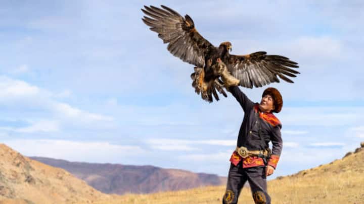 साल 2010 में यूनेस्को (UNESCO) ने फाल्कनरी को मानवता की अमूर्त सांस्कृतिक विरासत (Intangible Cultural Heritage) के रूप में मान्यता दी थी.