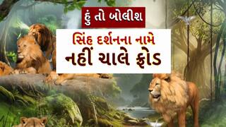 Hun To Bolish : હું તો બોલીશ : સિંહ દર્શનના નામે નહીં ચાલે ફ્રોડ