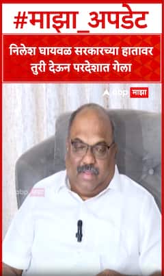 Anil Parab : निलेश घायवळ सरकारच्या हातावर तुरी देऊन परदेशात गेला