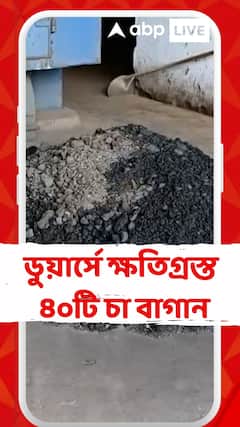 North Bengal News: তছনছ হয়ে গেছে ডুয়ার্সের প্রায় ৪০টি চা বাগান ! ক্ষতির পরিমাণ অনেক