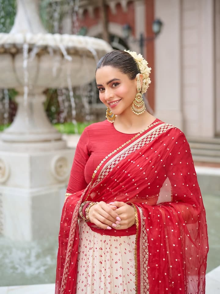 आमना शरीफ़ जब कॉलेज में थीं, तब उन्हें कई ब्रांड्स से मॉडलिंग के ऑफर मिलने लगे। वह शुरू से ही काफी आकर्षक रही हैं। उन्होंने मॉडलिंग में कदम रखा और फिर म्यूज़िक वीडियो में काम करके करियर के नए विकल्प तलाशने शुरू कर दिए।