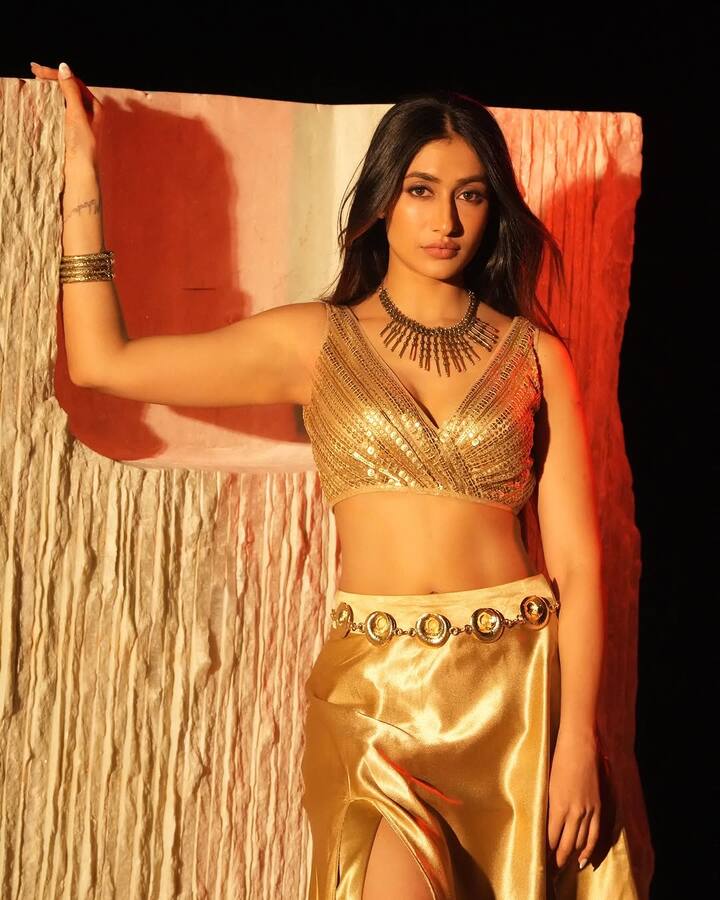 धनश्री वर्मा को आज पॉपुलर कोरियोग्राफर और सोशल मीडिया इन्फ्लुएंसर के रूप में जाना जाता है. अपने यूट्यूब चैनल और ब्रांड एंडोर्समेंट के साथ हसीना अब सभी के बीच एक पॉपुलर चेहरा बन गई हैं.