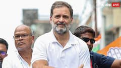 बिहार में कांग्रेस ने इन 13 सीटों पर तय किए नाम! कई नए चेहरों की लग सकती है लॉटरी, देखें संभावित लिस्ट