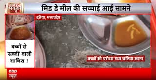 Breaking: Leopard Spotted Walking On Paved Road In Bilaspur, Residents Panic; Forest Team Alert Now!