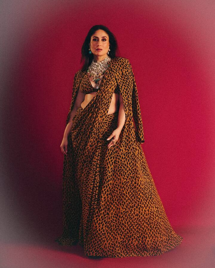 करीना और अजय की इस फिल्म ने बॉक्स ऑफिस पर खूब कमाई थी. फिल्म में दीपिका पादुकोण, रणवीर सिंह और टाइगर श्रॉफ ने कैमियो भी किया था.