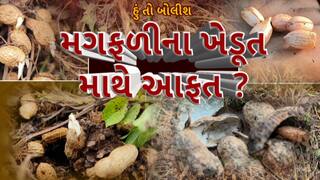 Hun To Bolish : હું તો બોલીશ : મગફળીના ખેડૂત માથે આફત?