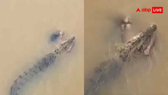 Crocodile Attack Video: नदी किनारे नहा रही थी महिला, घात लगाकर आया दरिंदा और... वीडियो देख दहल जाएगा दिल
