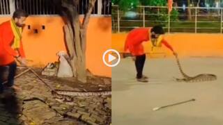Video: यमराज से तो डर! मंदिर में घुसा 13 फीट लंबा अजगर, शख्स ने खदेड़ कर किया रेस्क्यू, देखें वीडियो